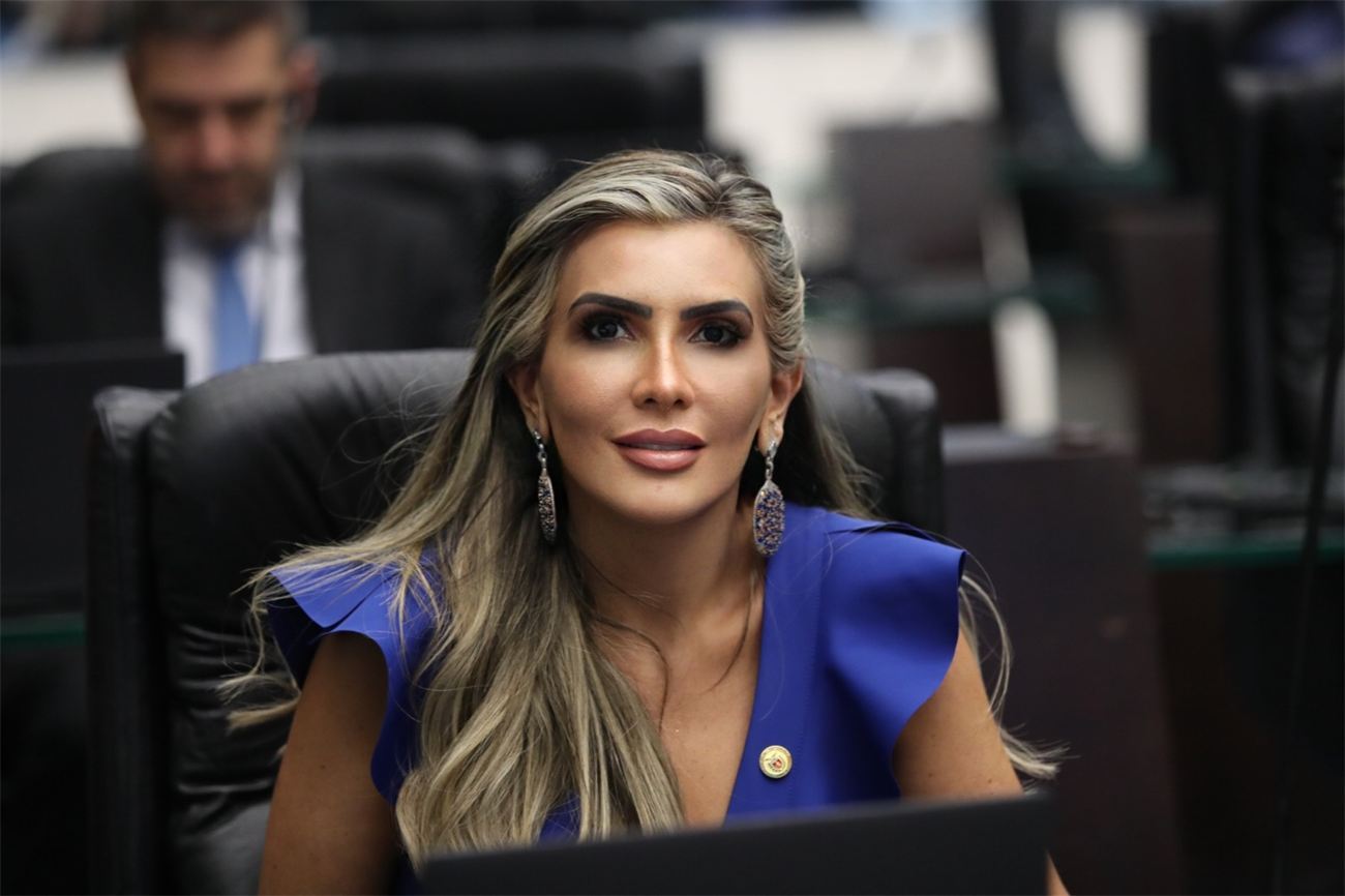 Deputada Flávia Francischini em atuação parlamentar