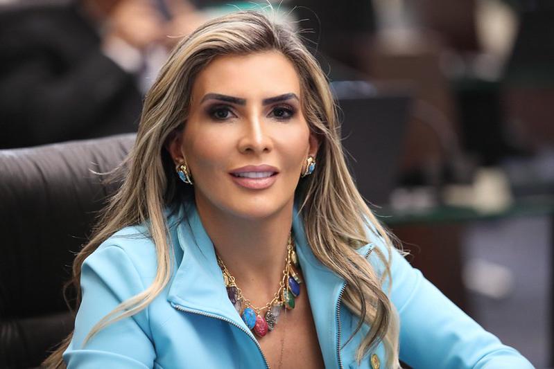 Flávia quer  transparência sobre os recursos arrecadados  com  multas de trânsito