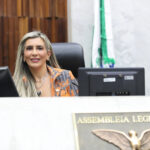 Deputada Flávia Francischini propõe ampliação do Alerta para Resgate de Pessoas no Paraná
